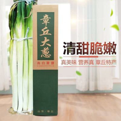 Zhangqiu Green onions Shunfeng Shandong Fresh 3 Local Manufactor wholesale Manufactor Direct selling Independent