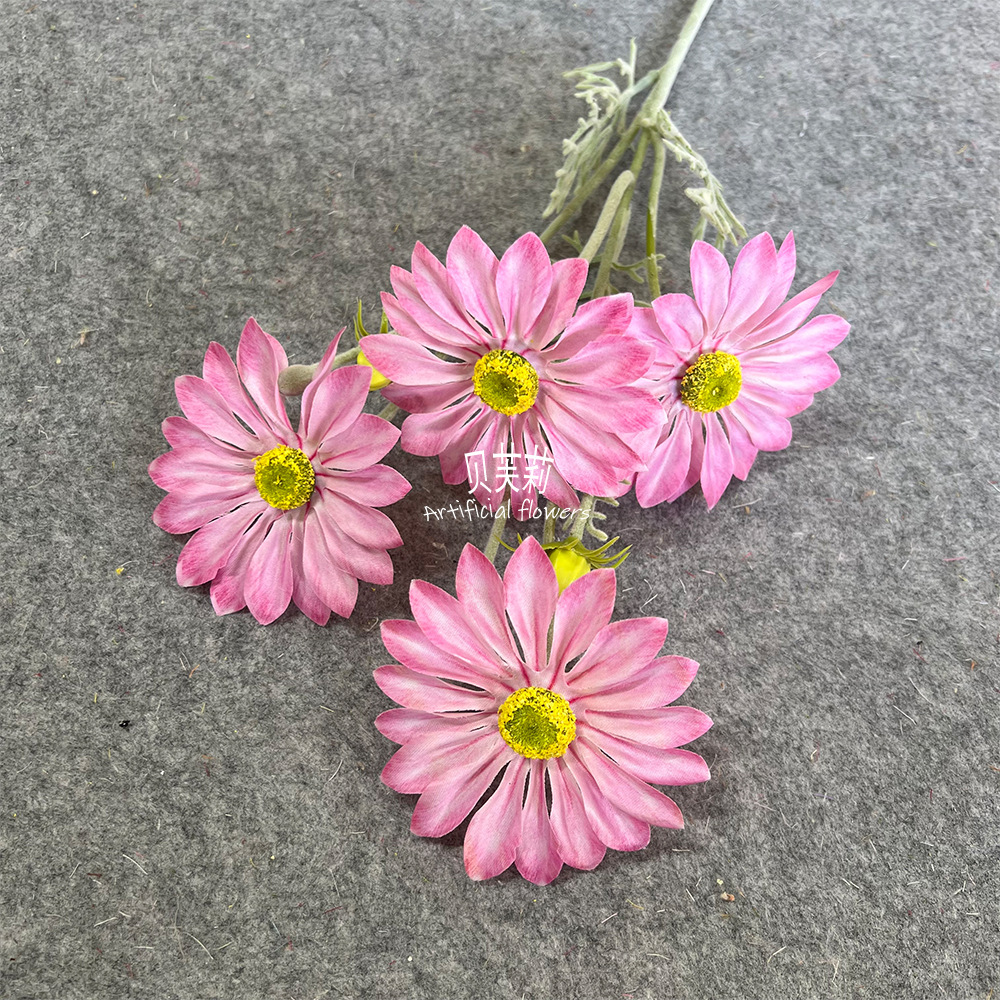 유화 여름 국화