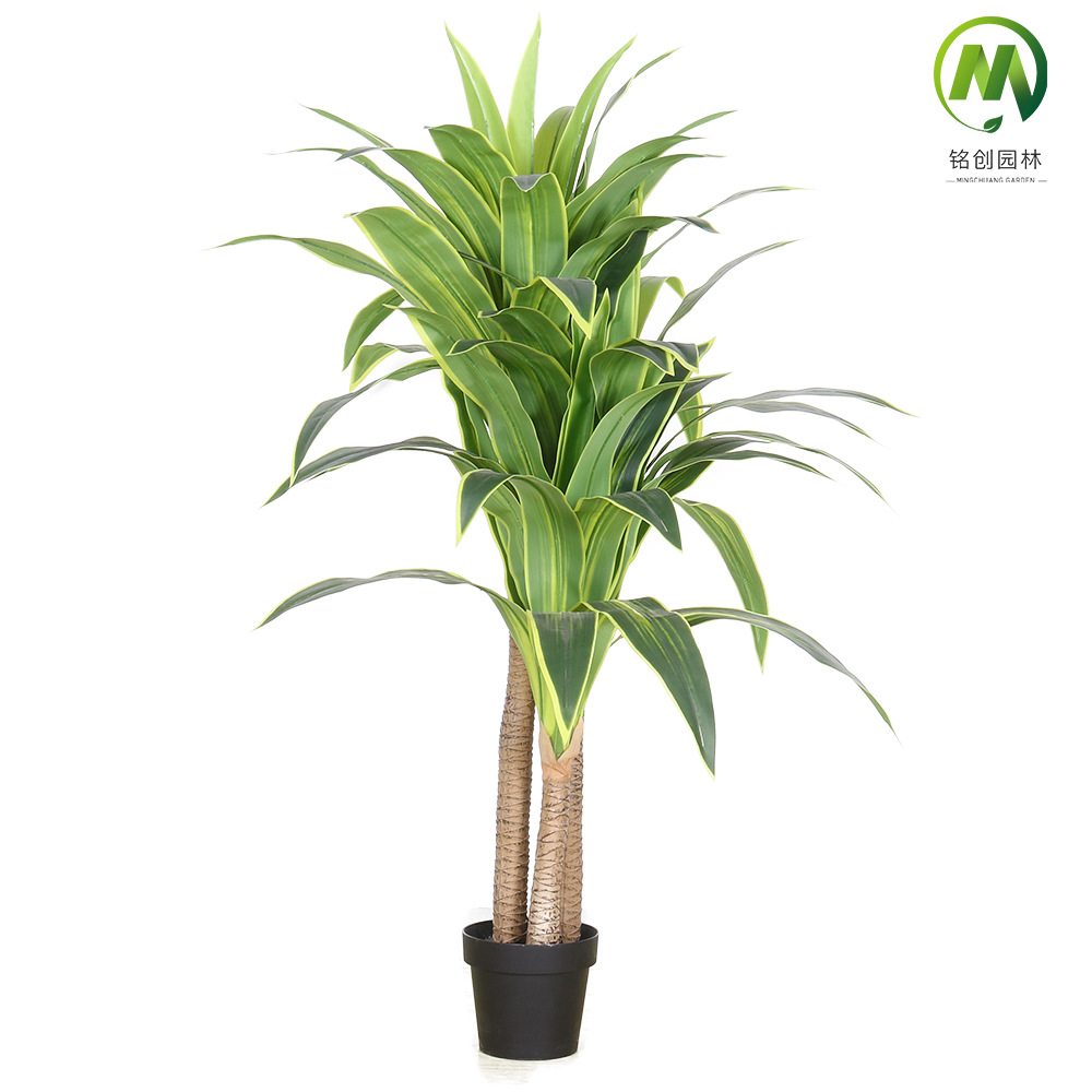 Planta verde de simulación de piso a gran escala, árbol de hierro rojo, madera brasileña, decoración interior, planta de simulación, hierro brasileño de borde amarillo