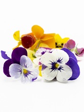 [Pbݲ͏dϴ[PcYbֲbݔ[P