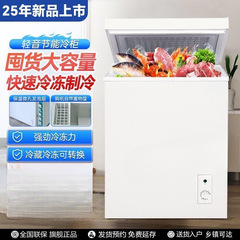 25年新款冷柜速冻保鲜一级能效家用冰箱小型迷你办公保鲜柜冰柜