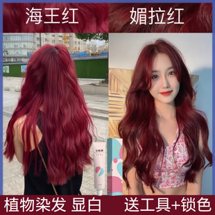 �����t�����t��ɫ�ƼtȾ�l����2024����ɫֲ�＃�Լ�Ⱦ�l