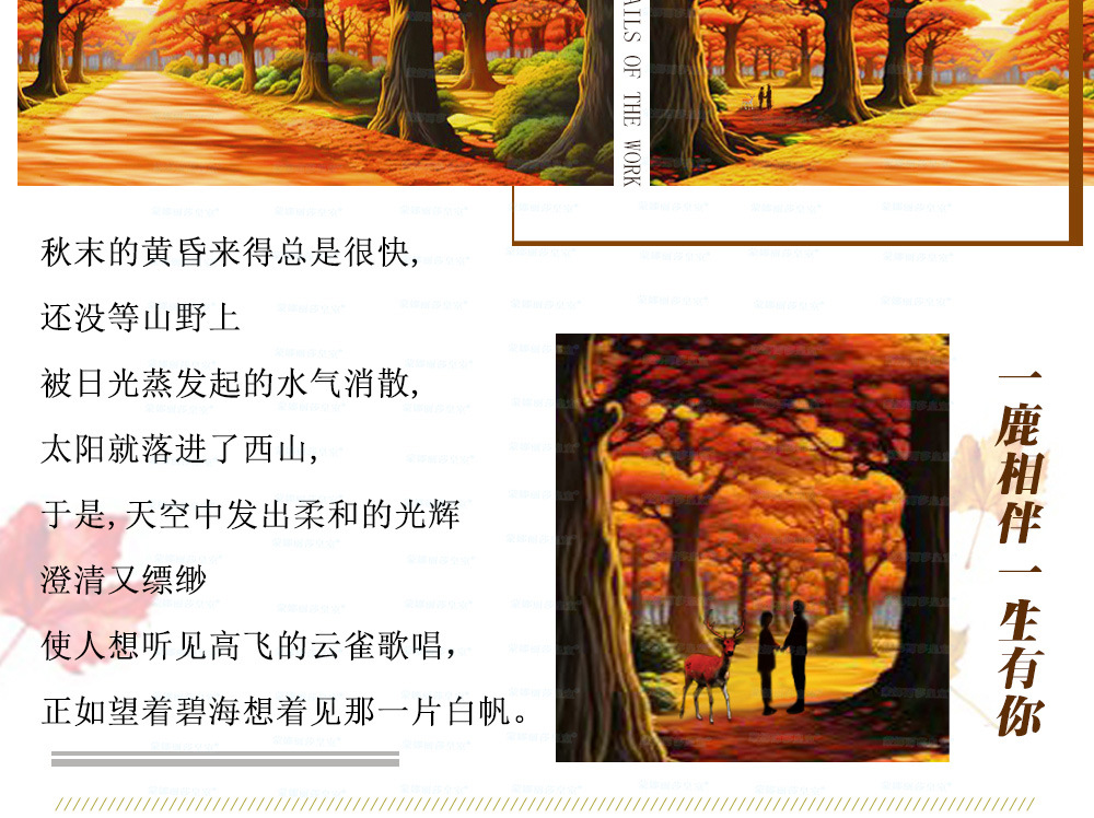 3 拷贝