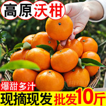 ���r�ָ̮���ˮ���V�����Q���ӷǰҰҸ̳��ِ�������