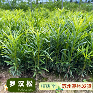 �_�h�ɘ�����~ȸ������ͥԺ�̨�Gֲ�辰���Ԙ䘶�Gֲ�辰