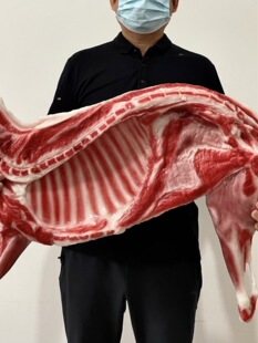 ����ģ��չʾ�����������ŵ��߳Բ���ƷӰҕ�Ĕz���߼���