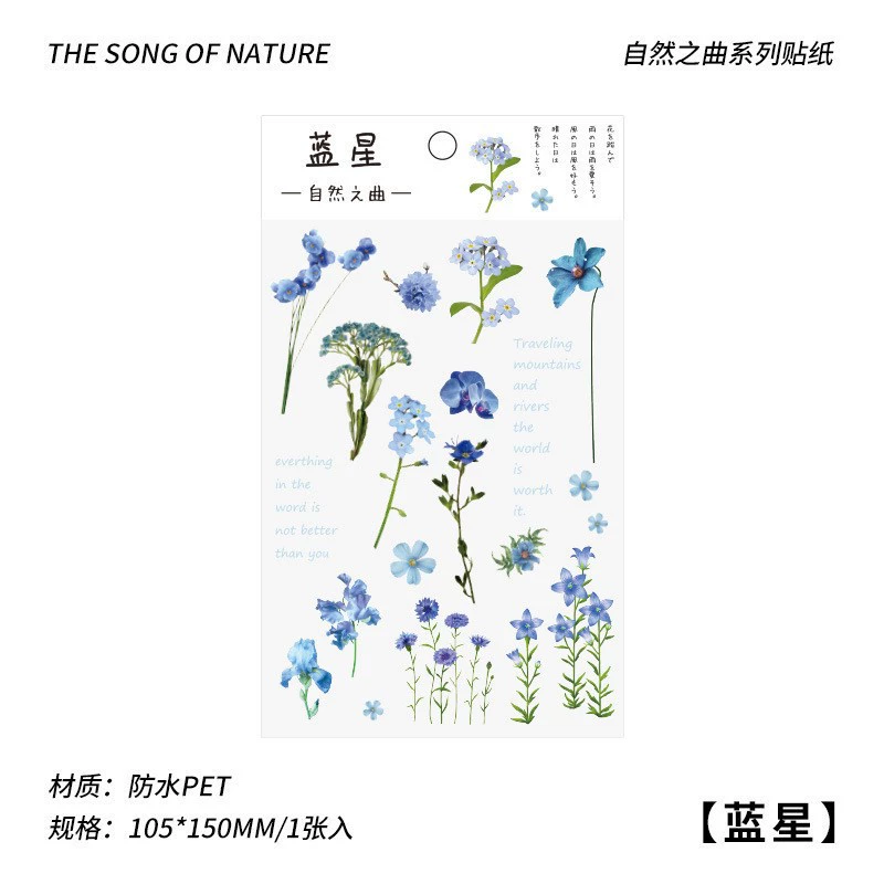 Transparent Waterproof Stickers, Floral & Botanical Designs, Small 3.33×1×0.33 cm, Assorted