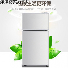 小冰箱迷你家用冷冻冷藏小型能效一级电冰箱租房宿舍专用二人用
