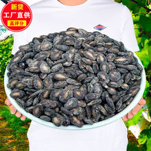 ���}��������ζС�w�����f�����b���e����׷���خa�F����؛�ڹ���