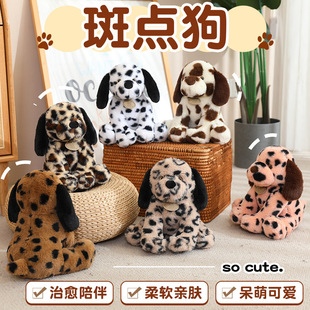 �羳���c��ë�q��߿�ͨ����С��ë�q������ż�������ޱ���[��