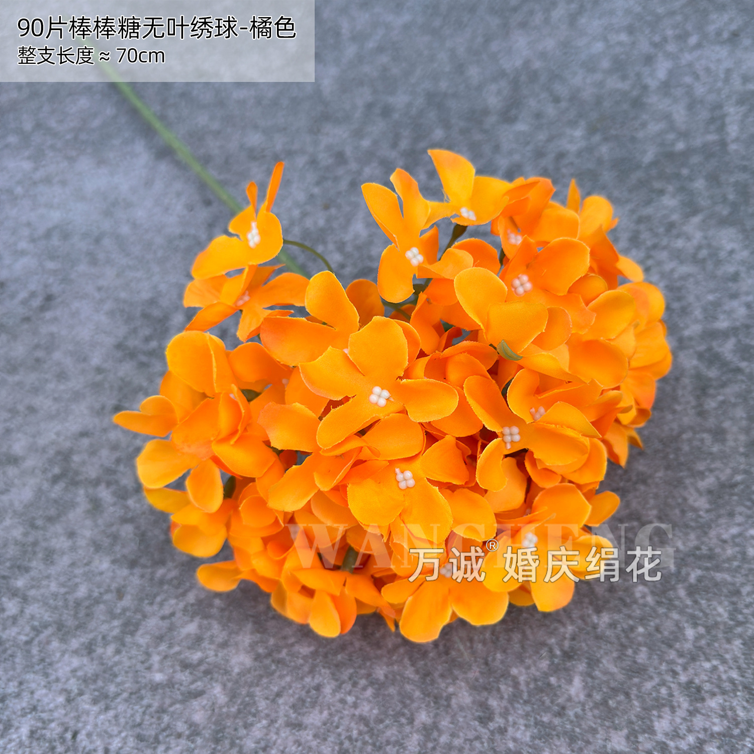 오렌지 90 롤리팝 수국 (잎 없음)