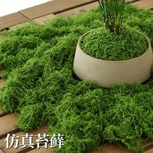 ������̦�\�����ƺ΢���^�쾰��������쾰�b���Gֲ�҃�����