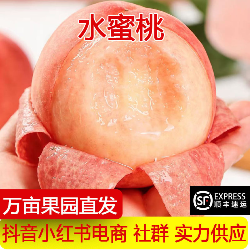 Fresh Peaches Directly from the Farm, Crisp and Sweet Large Peaches, Freshly Picked Spring Snow Peaches, Seasonal Fruit, Suitable for Pregnant Women, One-Piece Drop Shipping Fresh Peaches Directly from the Farm, Crisp and Sweet Large Peaches, Freshly Picked Spring Snow Peaches, Seasonal Fruit, Suitable for Pregnant Women, One-Piece Drop Shipping