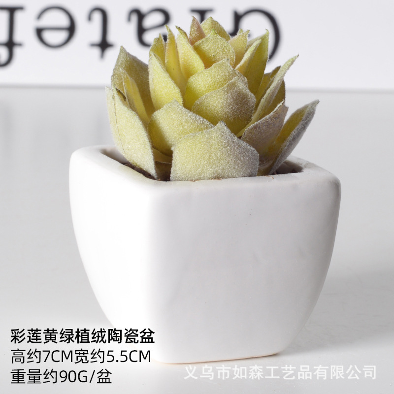 Simulación de cerámica bonsai de carne doméstica decoración de escritorio de oficina plantación verde maceta props de disparo maceta combinada artificial image 16