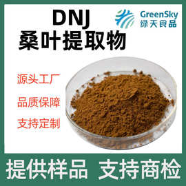 桑叶提取物水溶性桑叶粉桑叶DNJ 1-脱氧野尻霉素桑叶黄酮现货直发