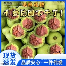 ������Ƥ��������ܼy����Ƥ������ҹ�ñ�����ـ�]�����Ǫ{���^