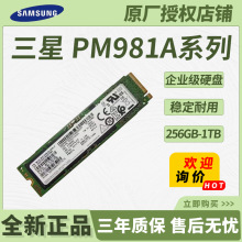 适用于三星PM981A系列256GB/512GB/1TB企业级固态硬盘M.2接口SSD