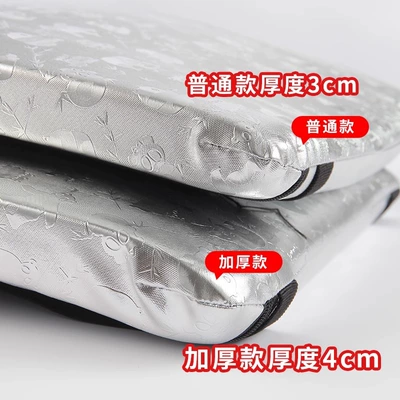 Electric car cushion — cushion universal