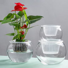简约创意玻璃花瓶透明水培植物白掌花盆绿萝圆球形鱼缸器皿玻璃瓶