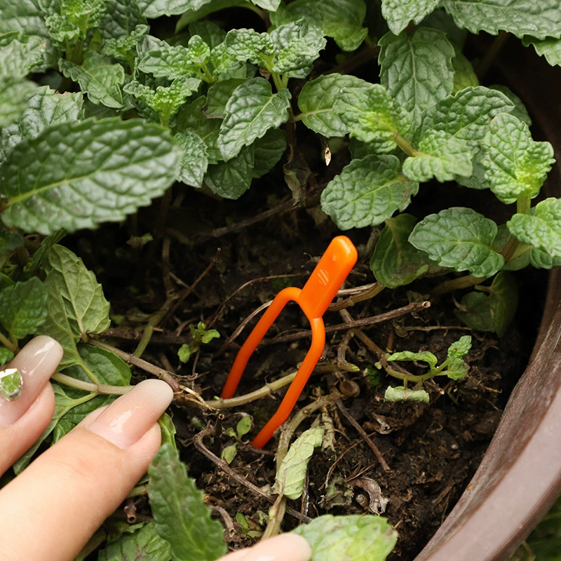 Трансграничная оптовая продажа садоводческих виноградников арбуз клубника пластиковая посадка вилки виноградной лозы