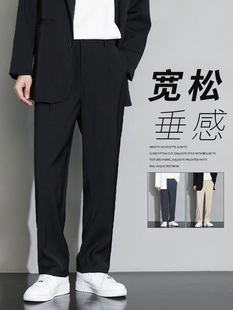 Men's Dress Pants Spring Summer Autumn New Professional Formal Suit Casual Trousers High-End Straight-Leg Long Pants