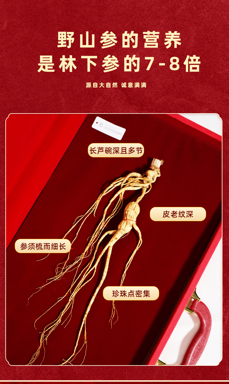 Changbai Mountain Wild Forest Ginseng Root Dried Whole Root for Traditional Herbal Decoction and Gift Box key features