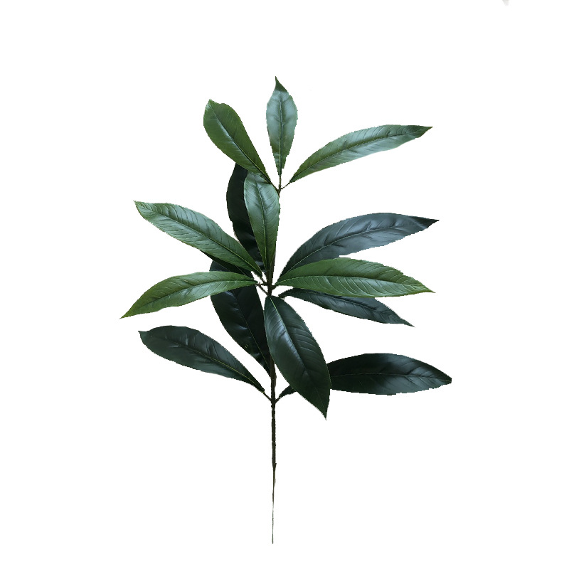 XRB-264 楠木单枝 (2).jpg