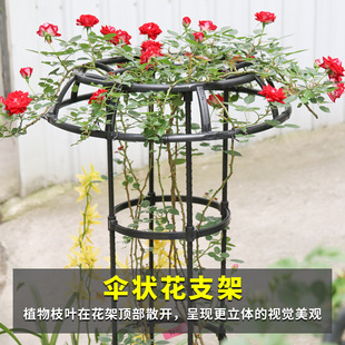 �羳���N�@ˇ���λ��� �¼������ټ� �����S�����v֧�ܬF؛���N��