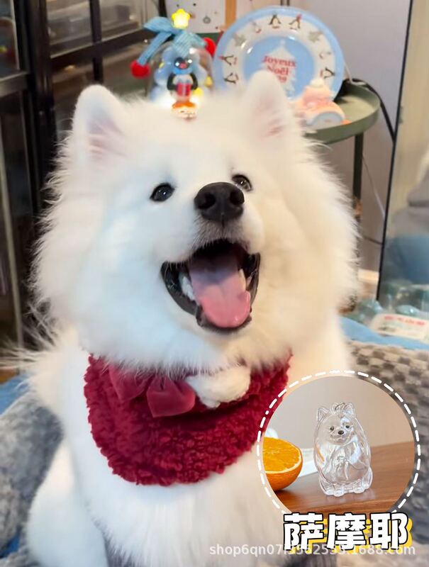 ペット柴犬メカテディカウボーイ刺繍ベレー帽レース子犬かわいいスカーフよだれかけ猫プリンセススタイル|undefined