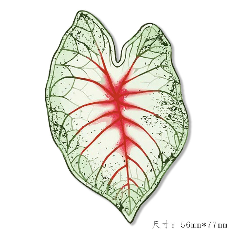 植物魔法の冷蔵庫マグネット、珍しい植物、創造的な緑の植物冷蔵庫マグネット、装飾的な文化的で創造的なお土産冷蔵庫マグネット卸売|undefined
