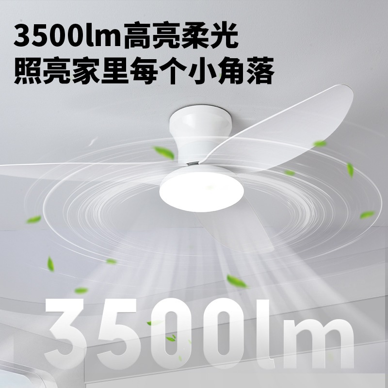 Lámpara Ventilador de Techo de Plástico ABS con Conversión de Frecuencia y Control Remoto para Dormitorio y Sala de Estar