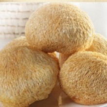 古甜 猴头菇干品1kg 新鲜猴头菇 猴菇饼 猴菇粉 猴头菇罐头