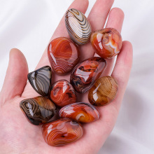 羳lȻ觴wLʯVʯ˱쾰ʯ[mĽ̌W