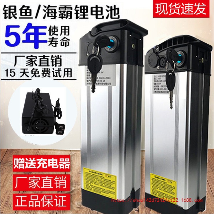 Electric Vehicle Battery 48V Lithium Battery Motorcycle Battery Driving Foldableing Bike Silver Fish Haiba Universal 10Ah20Ah