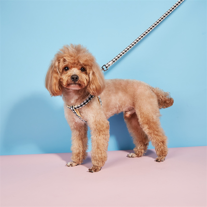 Transfronterizo nuevo oso marioneta correa de mascota traje de peluche ajustable anti-rotura correa de perro al por mayor