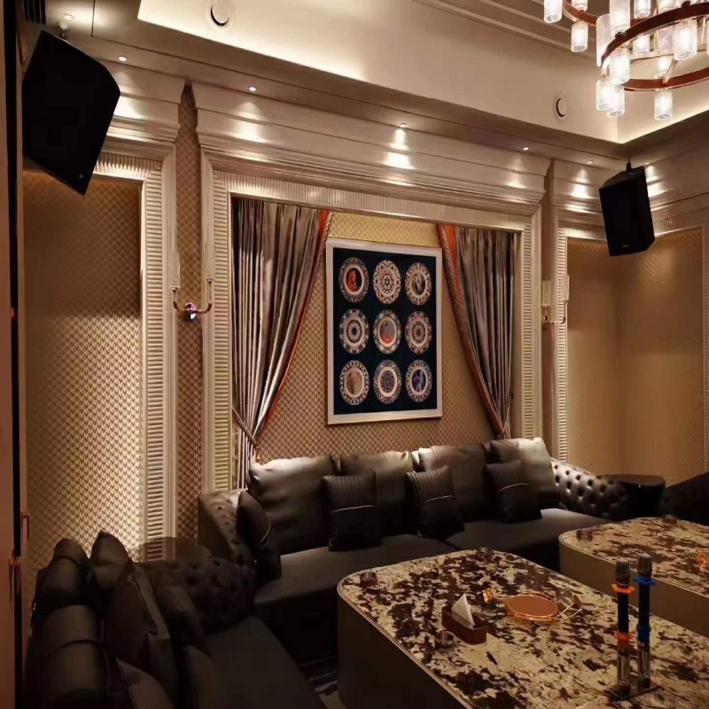 深圳12寸专业无源音箱广场户外多媒体会议音响舞台婚庆演出KTV