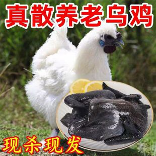 ���u��ֻ�F���r��ɢ�B���uƷ�|���rֱ�_��S�l؛2��3��������ϰ�
