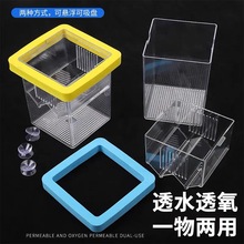 鱼缸孵化器鱼苗漂浮隔离盒母鱼孵化盒悬浮式漂浮孵化盒小鱼繁殖盒