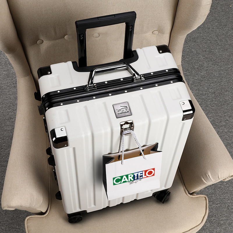 Thickened Large Capacity Trolley Case