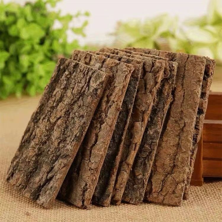 Fried Du Zhong Eucommia Bark Slices Traditional TCM Herb for Decoction and Wine Infusion 100g preparation