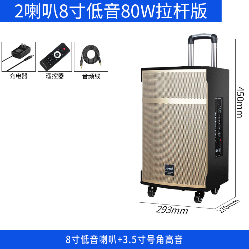 Altavoz Bluetooth Xiaxin potente para karaoke y eventos