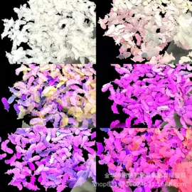 金葱粉;散珠/串珠;亮片