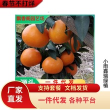 ���lɰ���ٴ�Ƥ��۽��Ә������Ե����̨ͥԺ�ļ��Nֲ�ϱ�������