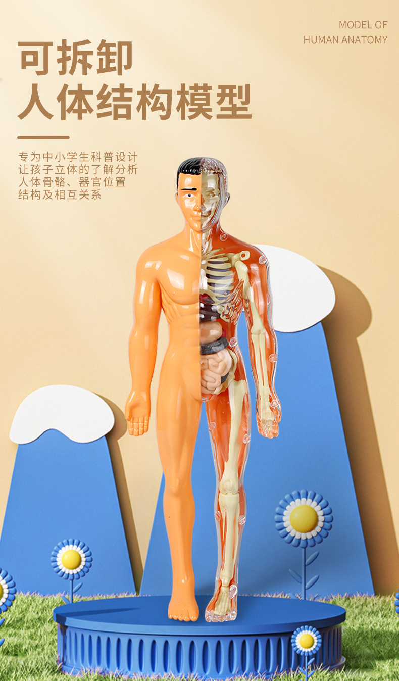 详情图