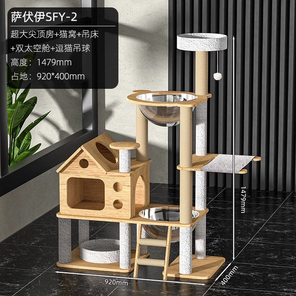 Savoy SFY-02