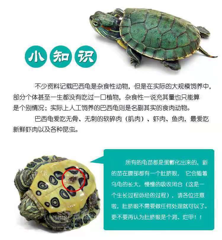 ba38ae0f-d0a0-4bd0-8550-51e0ce1ab286.jpe