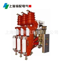 FZRN40-12D/T100-31.5 戶內真空負荷開關-熔斷器組合電器