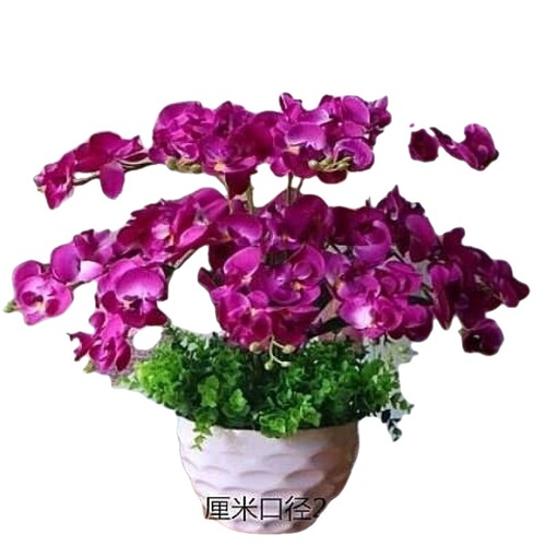 Flower phalaenopsis set fake flowers living room bed ornaments fake flowers decoration plastic flowers dried flowers silk flowers fake flowers