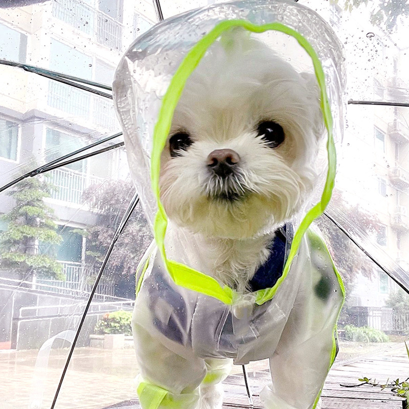 Perro impermeable fluorescente transparente esmerilado de cuatro patas impermeable todo incluido Teddy ropa para mascotas poncho de perro mediano y grande