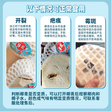 双12椰青年货节佳农泰进口香水椰青9个原箱装新鲜椰子